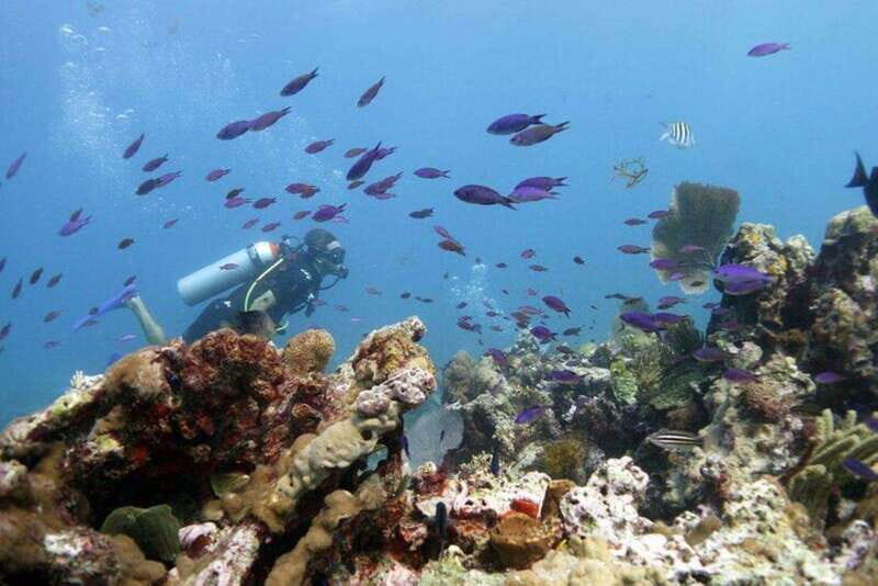 Isla Mujeres: PADI Open Water Diver Course - Why Choose This Course?