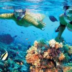 Isla Mujeres sailing tour in catamaran Open Bar& Lunch Included - Who Should Book This Tour?