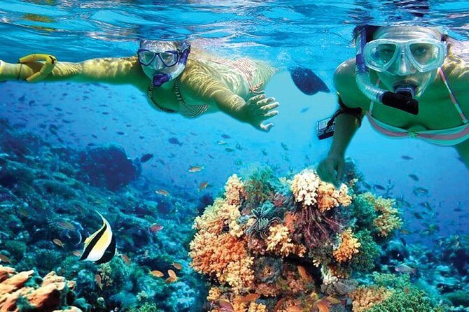 Isla Mujeres sailing tour in catamaran Open Bar& Lunch Included - Who Should Book This Tour?