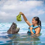 Isla Mujeres: Sea Lion & Manatee Interaction with Buffet - The Real Value of the Tour