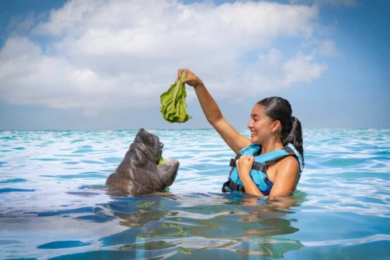 Isla Mujeres: Sea Lion & Manatee Interaction with Buffet - The Real Value of the Tour