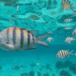 Isla Mujeres Snorkeling Adventure at the Underwater Museum - Practical Tips