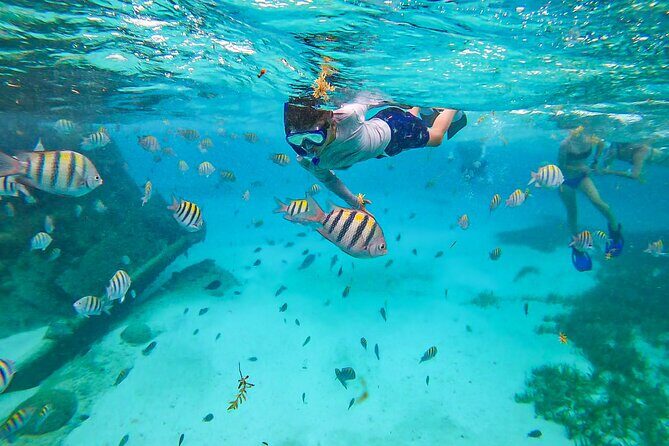 Isla Mujeres Tour, Snorkel and Golf Cart included - Who Is This Tour Best For?