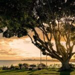 Island of Magic Private Wedding Tour - Who Is This Tour Best For?