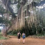 Island of Maui Customized Half-Day Private Tour - Who Will Love This Tour?