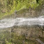 Island of Maui Customized Half Day Tour - The Experience of a Private Guide