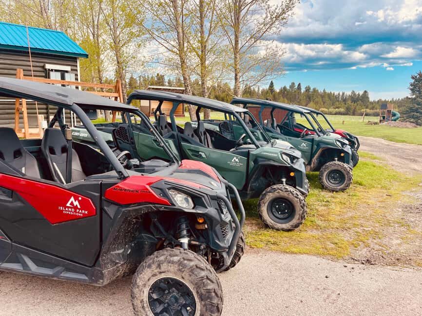 Island Park: Full-Day UTV Adventure - The Cost and Its Value