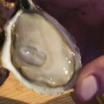 Island Tour with Oyster Tasting & Merroir Experience P.E.I. - Unpacking the Experience: A Practical Look