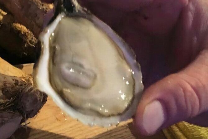 Island Tour with Oyster Tasting & Merroir Experience P.E.I. - Unpacking the Experience: A Practical Look