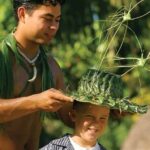 Islands of Polynesia & HA: Breath of Life package - Practical Details