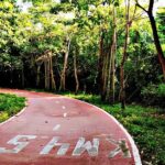 Ixtapa bike tour - The Itinerary: What You Can Expect