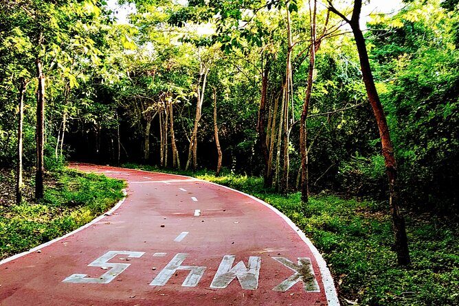 Ixtapa bike tour - The Itinerary: What You Can Expect