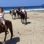 Ixtapa: Horseback Riding & Snorkeling - Transportation & Group Size