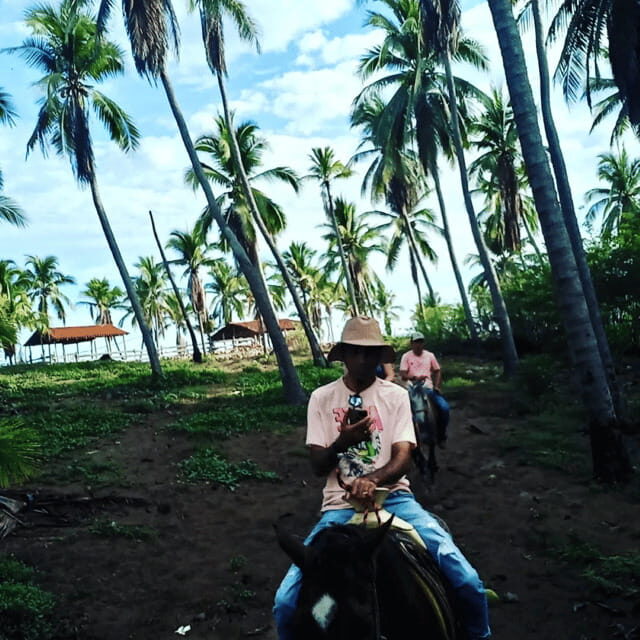 Ixtapa: Horseback Riding Tour Along Playa Larga - What to Expect on the Tour