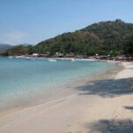 Ixtapa: Las Gatas Beach Adventure - Who Will Love This Tour?