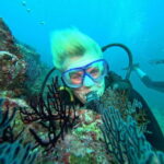 Ixtapa: Underwater Adventures in Zihuatanejo - The Details That Matter