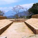 Ixtapa Zihuatanejo Archaeological Zone and Coconut Museum Tour - Who Should Book This Tour?
