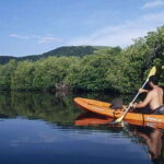 Ixtapa-Zihuatanejo: Barra de Potosi Scenic Lagoon Tour - Practical Details and What You Should Know