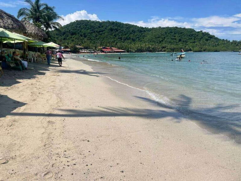 Ixtapa-Zihuatanejo: Island of Ixtapa Day Trip with Lunch - What’s Worth Noting