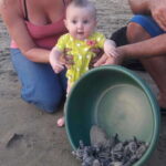 Ixtapa-Zihuatanejo: Turtle Release Tour. - Is This Tour Right for You?