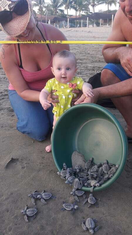 Ixtapa-Zihuatanejo: Turtle Release Tour. - Is This Tour Right for You?