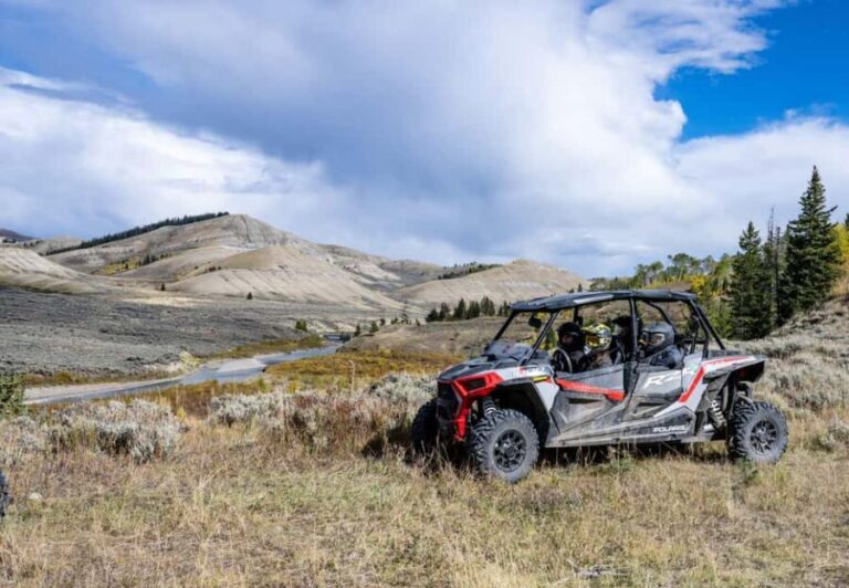 Jackson Hole: Side-by-Side Rental with Helmet & Goggles - Why This Experience Stands Out
