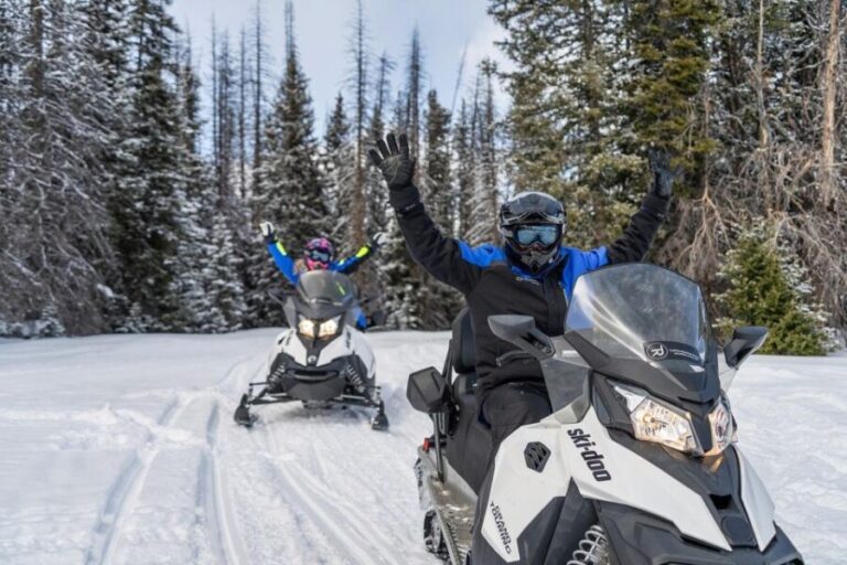 Jackson Hole: Turpin Meadow Snowmobile Tour - Key Points