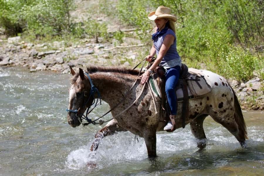 Jackson Signature 1/2 Day Ride Horseback Tour with Lunch - Why This Tour Is a Good Fit