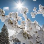 Jackson: Yellowstone Snowmobile Tour to Old Faithful - The Old Faithful Experience