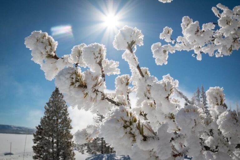Jackson: Yellowstone Snowmobile Tour to Old Faithful - The Old Faithful Experience