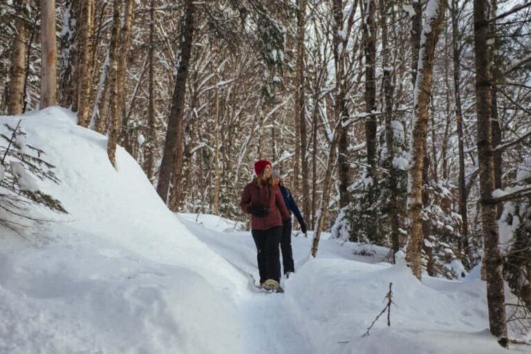 Jacques-Cartier: National Park Entry Ticket & Snowshoeing - Practical Details & What to Bring