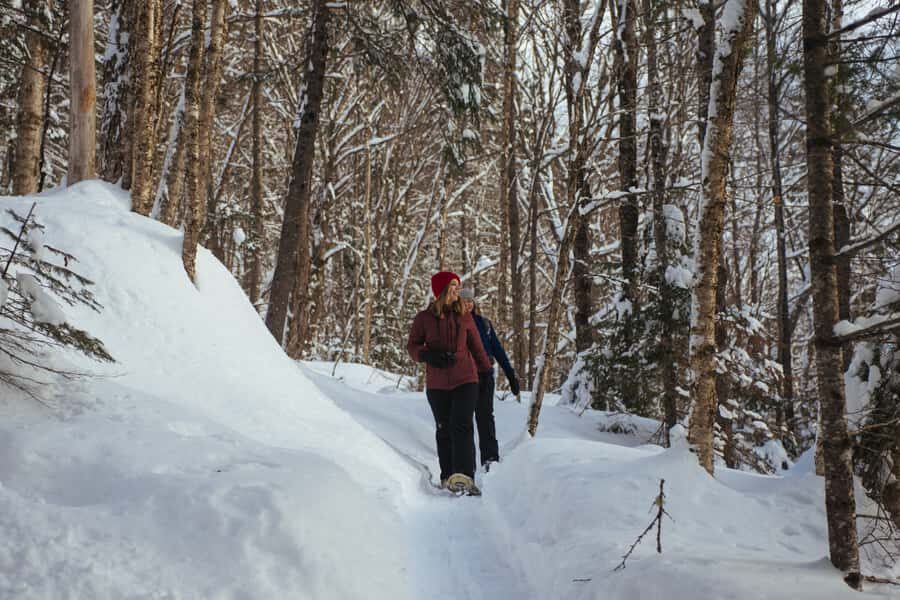 Jacques-Cartier: National Park Entry Ticket & Snowshoeing - Practical Details & What to Bring