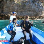 Jalisco: Scuba Diving at Los Arcos for Certified Divers - Why This Tour Is a Great Choice