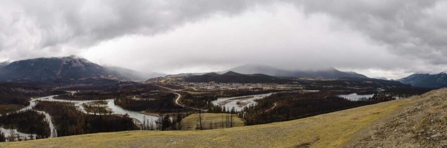 Jasper: Guided Wildfire Hike with Lunch - Analyzing the Value