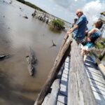 Jeep Tour to Punta Sur Eco Beach Park with Lunch - Who Would Love This Tour?