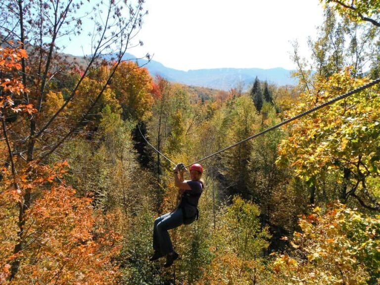 Jeffersonville, VT: ArborTrek Zipline Canopy Tour - Price and Value