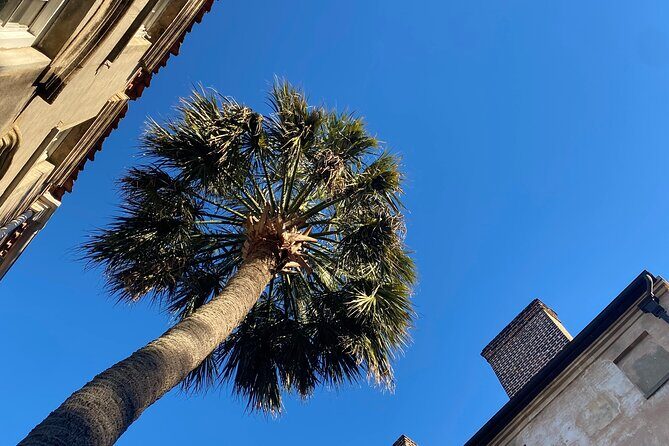 Jewish History Private Walking Tour of Charleston - Practical Details and Tips for Travelers