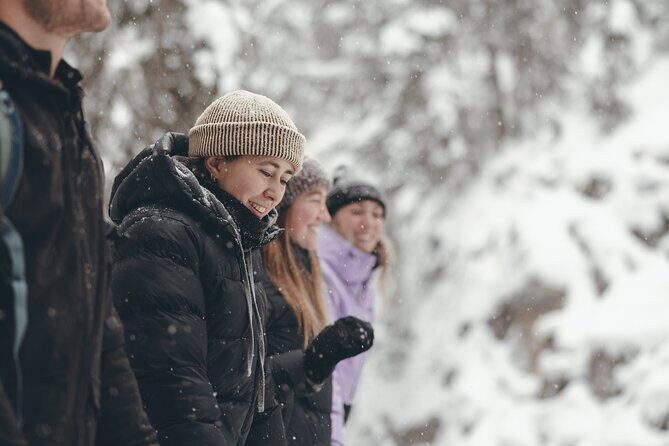 Johnston Canyon: Frozen Falls - An In-Depth Look at the Johnston Canyon Winter Tour