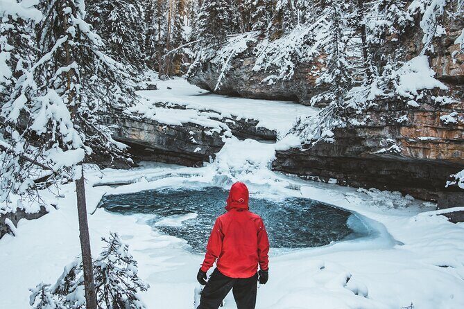 Johnston Canyon Frozen Waterfalls & Banff Backroads Wildlife Tour - Who’s This Tour For?