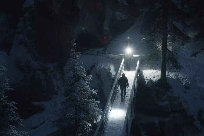 Johnston Canyon Night Walk and Stargazing Experience - Mount Norquay Viewpoint: Panoramic Nightscape