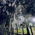 Jonathans Original Savannah Haunted Pub Crawl - Who Should Consider This Tour?