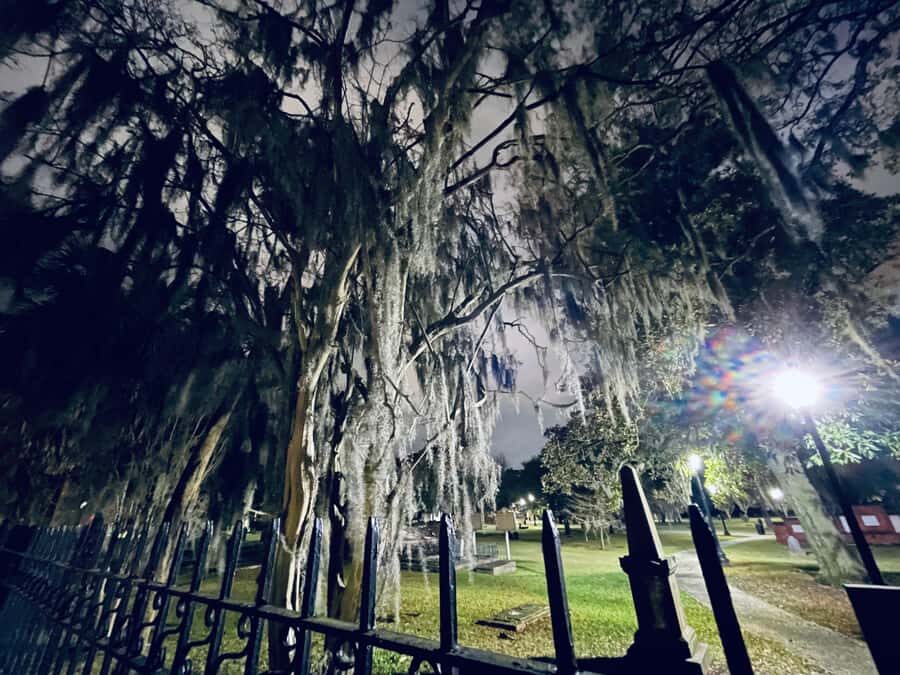 Jonathans Original Savannah Haunted Pub Crawl - Who Should Consider This Tour?