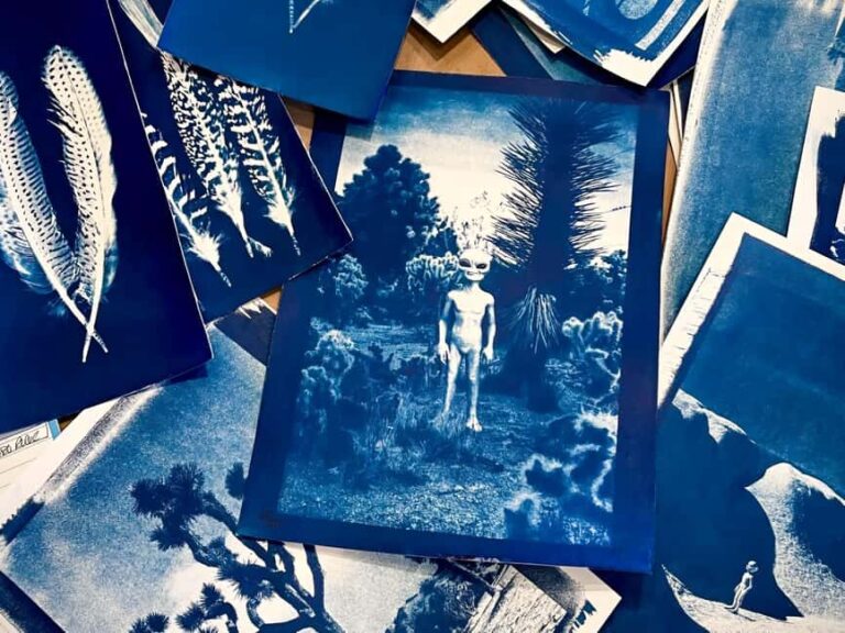Joshua Tree: Cyanotype Sunprint Workshop - FAQ