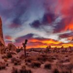 Joshua Tree National Park Day Tour from Los Angeles - The Itinerary Breakdown: What You Can Expect