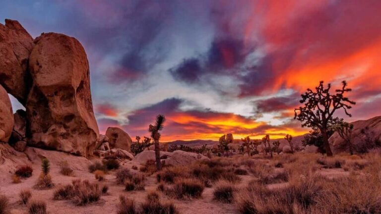 Joshua Tree National Park Day Tour from Los Angeles - The Itinerary Breakdown: What You Can Expect