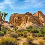 Joshua Tree National Park Trip Planner - Why This Tour Offers Good Value
