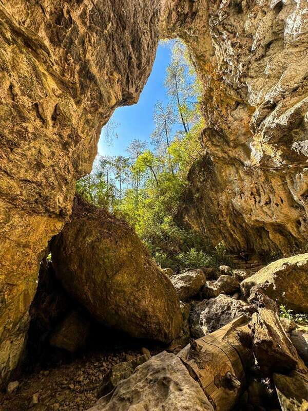 Juárez Highlands: Ecotourism and Workshop Experience - Practical Details and Value