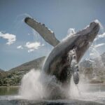 Juneau: Craft Beer and Brewery Tour with Scenic Stops - An In-Depth Look at the Juneau Craft Beer and Scenic Tour