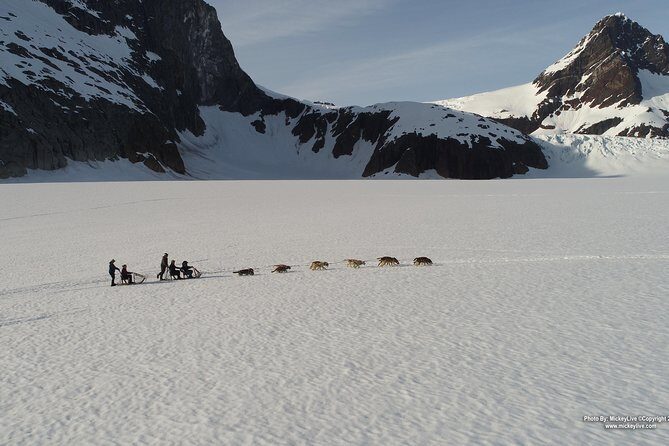 Juneau Helicopter and Dogsledding with Added Glacier Landing - An In-Depth Look at the Experience