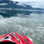 Juneau Jetski & Whale Adventure - Who Will Love This Tour?